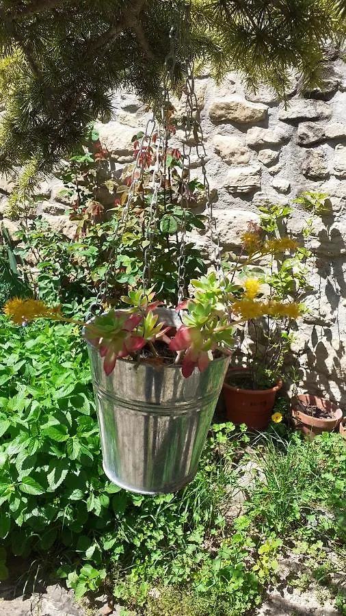 Cal Marques Villa Cervia Holiday home